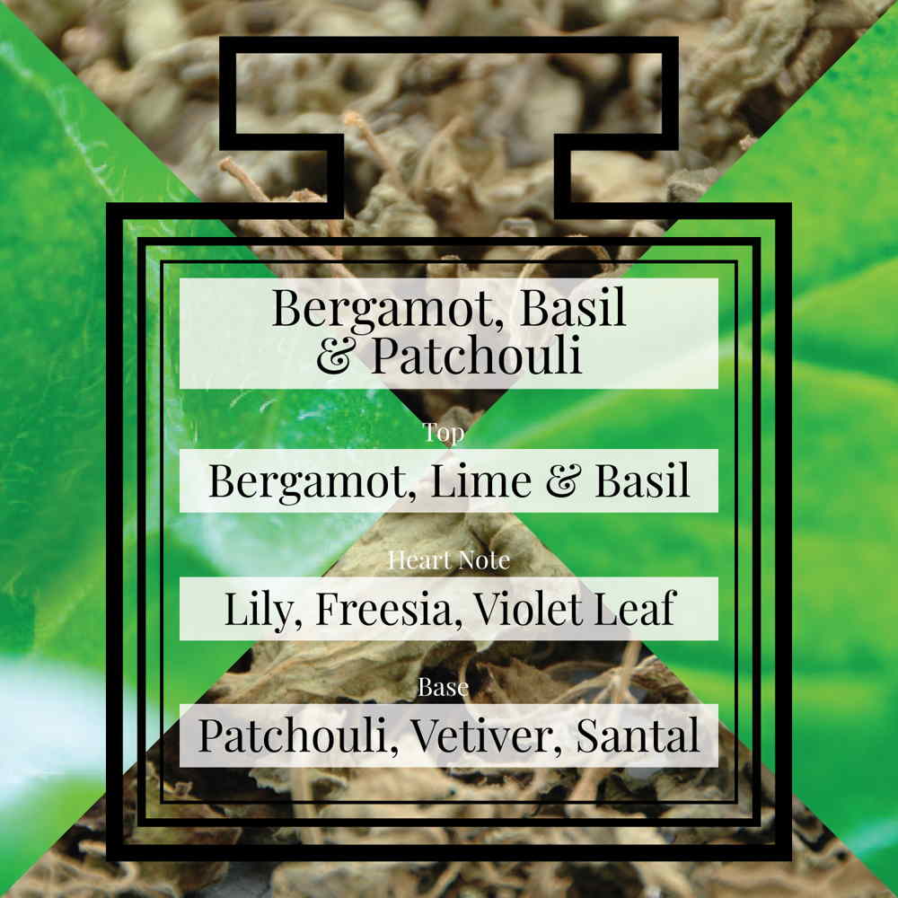 Bergamot, Basil & Patchouli for men eau de parfum 30 ml - Perfume & Color