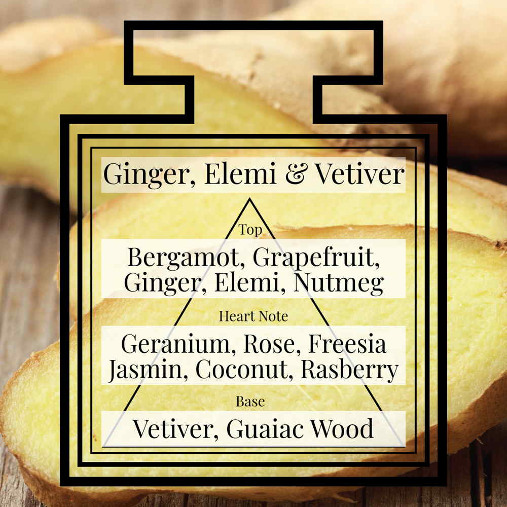 Ginger, Elemi & Vetiver for men eau de parfum 30 ml - Perfume & Color