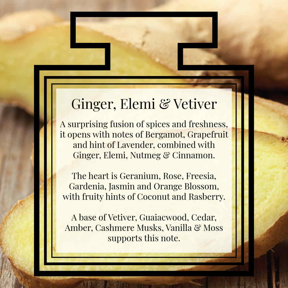 Ginger, Elemi & Vetiver men eau de parfum - Perfume & Color