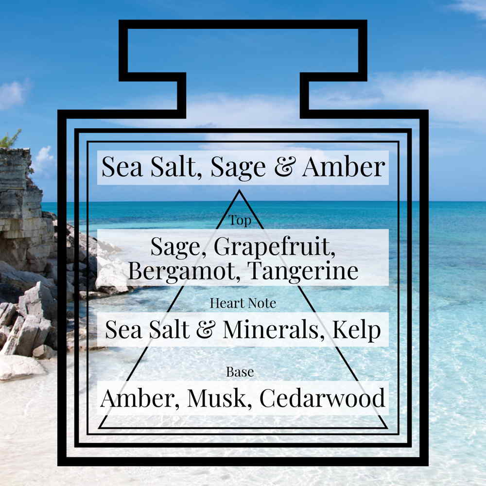Sea Salt, Sage & Amber men eau de parfum - Perfume & Color